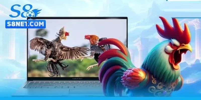 Đá gà S8 là một sảnh game giải trí trực tuyến uy tín